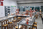 Laboratório de Anatomia